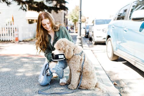 Show full view: Boulevard Travel Personalized Dog Bowl, Black, Large slide 6 of 6