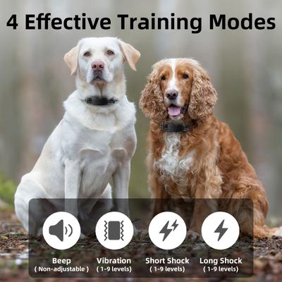 Show full view: Bousnic 1000ft Dog Training Collar Electric Rechargeable Waterproof Dog Shock Collar with Remote for Small, Medium & Large Dog, Black, 2 count slide 2 of 8