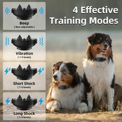Bousnic 1000ft Dog Training Collar Electric Rechargeable Waterproof Dog Shock Collar with Remote for Small, Medium & Large Dog, Green slide 2 of 7