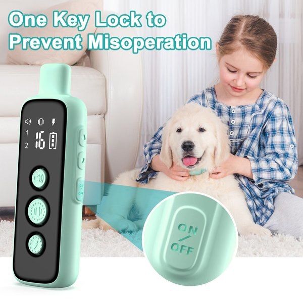 Bousnic 1000-ft Range Waterproof Rechargeable Dog Shock Training Collar with Remote