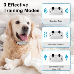 Bousnic 1000-ft Remote Waterproof Electric Dog Training Collar, Grey, 1 count slide 2 of 7