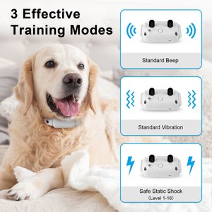 Bousnic 1000-ft Remote Waterproof Electric Dog Training Collar, Grey, 1 count