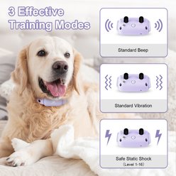 Bousnic 1000-ft Remote Waterproof Electric Dog Training Collar, Purple, 1 count slide 2 of 7