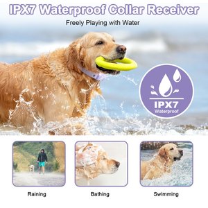 Bousnic 1000-ft Remote Waterproof Electric Dog Training Collar, Purple, 1 count