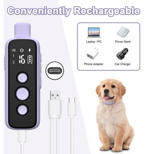 Bousnic 1000-ft Remote Waterproof Electric Dog Training Collar, Purple, 1 count