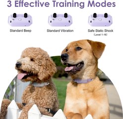 Bousnic 1000-ft Remote Waterproof Electric Dog Training Collar, Purple, 2 count slide 2 of 7