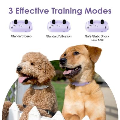 Show full view: Bousnic 1000-ft Remote Waterproof Electric Dog Training Collar, Purple, 2 count slide 2 of 10