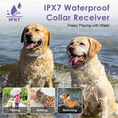 Show full view: Bousnic 1000-ft Remote Waterproof Electric Dog Training Collar, Purple, 2 count slide 4 of 10