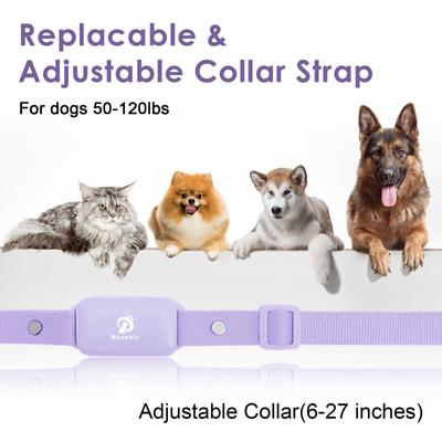 Show full view: Bousnic 1000-ft Remote Waterproof Electric Dog Training Collar, Purple, 2 count slide 6 of 10