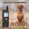 Show in main carousel: Bousnic 124 Levels IPX7 Waterproof 3350-FT Remote Dog Training Electric Shock Collar, Black, 27.5-in neck, 1/2-in wide slide 2 of 8