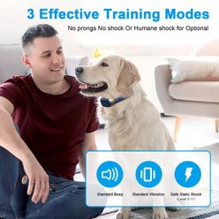 Bousnic 2000ft Remote Range Electronic Dog Training Collar, Blue  slide 2 of 7