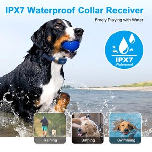 Bousnic 2000ft Remote Range Electronic Dog Training Collar, Blue 