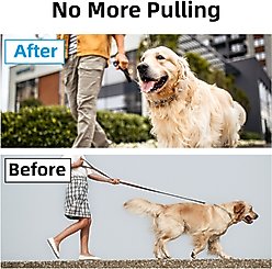 Bousnic No Pull Pro-Training Quick Release Buckle Stainless Steel Prong Dog Collar, 20-in neck, 3-mm wide slide 2 of 6