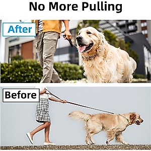 Bousnic No Pull Pro-Training Dog Prong Collar with Quick Release Buckle