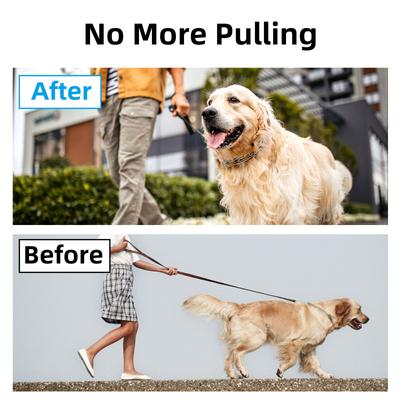 Show full view: Bousnic No Pull Pro-Training Quick Release Buckle Stainless Steel Prong Dog Collar, 20-in neck, 3-mm wide slide 4 of 7