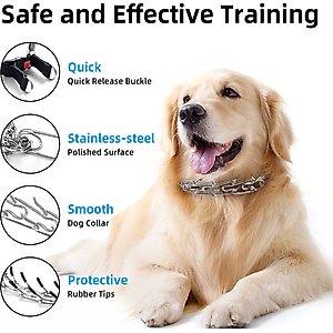 Bousnic No Pull Pro-Training Dog Prong Collar with Quick Release Buckle