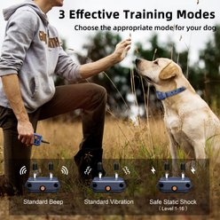 Bousnic Outdoor 3/4 Mile Remote Range Waterproof Dog Training Shock Collar, Blue slide 2 of 7