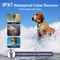 Show in main carousel: Bousnic Outdoor Remote Medium & Large Dog Training Shock e-Collar, White, 2 count slide 5 of 9
