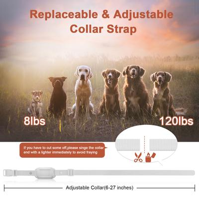 Show full view: Bousnic Rechargeable 1000FT Remote Dog Training E Collar, White, 2 count slide 6 of 8