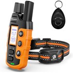 Best Dog Collars