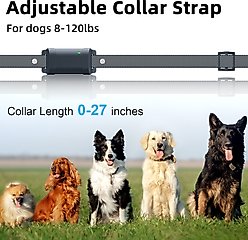 Bousnic Remote Waterproof Rechargeable Dog Shock Collar, 4000-ft, 2 count, Grey slide 2 of 7