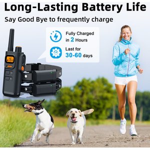 Bousnic Remote Waterproof Rechargeable Dog Shock Collar, 4000-ft, 2 count, Grey