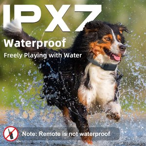 Bousnic Remote Waterproof Rechargeable Dog Shock Collar, 4000-ft, 2 count, Grey