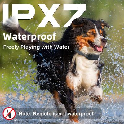 Show full view: Bousnic Remote Waterproof Rechargeable Dog Shock Collar, 4000-ft, 2 count, Grey slide 5 of 8