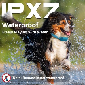 Bousnic Remote Waterproof Rechargeable Dog Shock Collar, 4000-ft, 2 count, Lake Blue