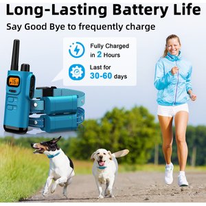 Bousnic Remote Waterproof Rechargeable Dog Shock Collar, 4000-ft, 2 count, Lake Blue
