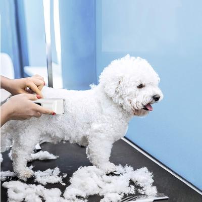 Show full view: Bousnic Removable Blade Dog & Cat Grooming Clipper, White slide 5 of 7