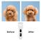 Show in main carousel: Bousnic Removable Blade Dog & Cat Grooming Clipper, White slide 7 of 7