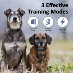 Bousnic Waterproof Electric 3000-ft Large Breed Dog Training Collar, Black, 2 count slide 2 of 7
