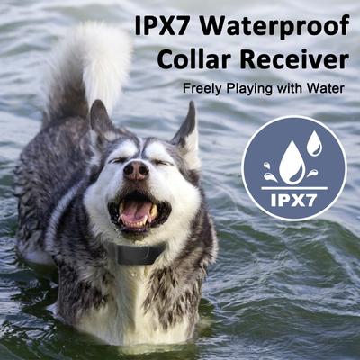 Show full view: Bousnic Waterproof Electric 3000-ft Large Breed Dog Training Collar, Black, 2 count slide 4 of 7