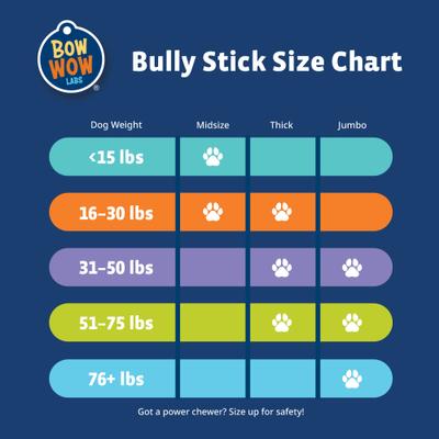 Show full view: Bow Wow Labs Safe Fit 12-in 100% Beef Bully Sticks Dog Treats, 10 count, Midsize slide 7 of 10