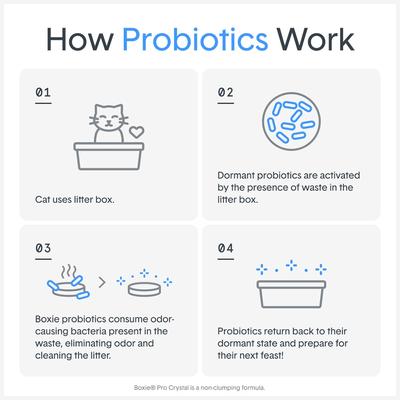 Show full view: Boxiecat Air Probiotic Lightweight Clumping Cat & Kitty Litter, 11.5-lb bag slide 9 of 12