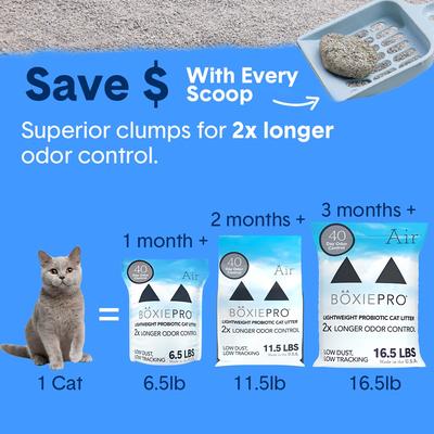 Show full view: Boxiecat Air Probiotic Lightweight Clumping Cat & Kitty Litter, 6.5-lb bag slide 10 of 12