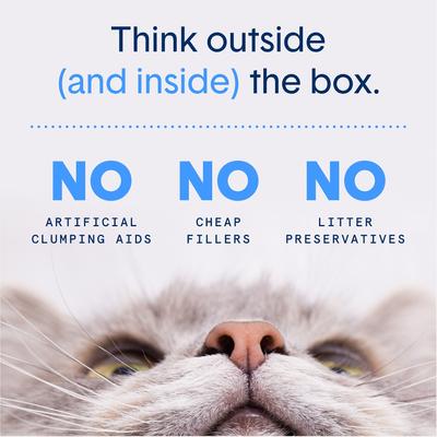 Show full view: Boxiecat Air Unscented Lightweight Clumping Cat & Kitty Litter, 11.5-lb bag slide 8 of 12
