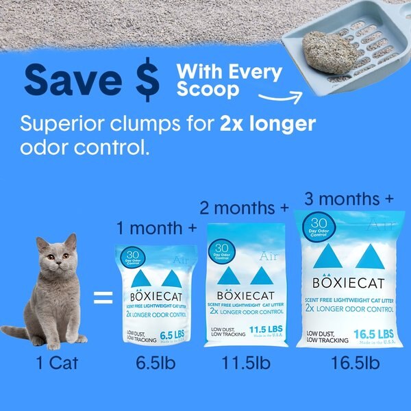 Boxiecat Air Unscented Lightweight Clumping Cat & Kitty Litter