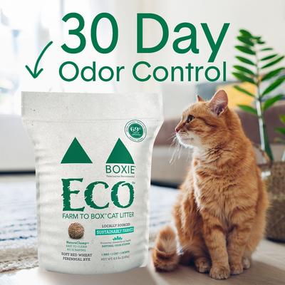 Show full view: Boxiecat Eco Farm to Box Premium Ultra Sustainable Clumping Cat & Kitty Litter, 6.5-lb bag slide 3 of 11