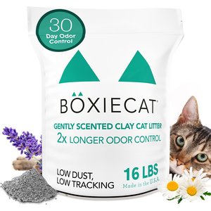 Boxiecat Gently Scented Premium Clumping Clay Cat & Kitty Litter, 16-lb bag