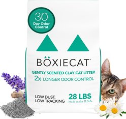 Boxiecat Gently Scented Premium Clumping Clay Cat & Kitty Litter, 28-lb bag