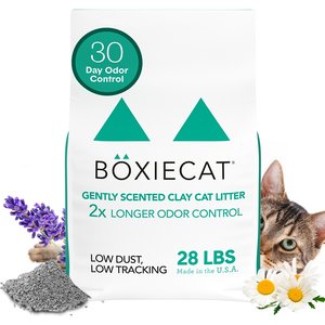 Boxiecat Gently Scented Premium Clumping Clay Cat & Kitty Litter, 28-lb bag