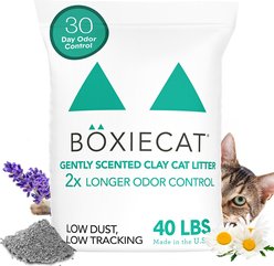Boxiecat Gently Scented Premium Clumping Clay Cat & Kitty Litter, 40-lb bag