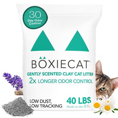 Show full view: Boxiecat Gently Scented Premium Clumping Clay Cat & Kitty Litter, 40-lb bag slide 1 of 10