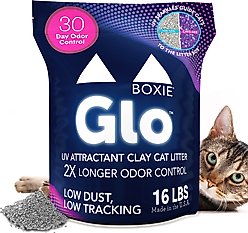 Boxiecat Glo Natural Stress-Relief Clumping Clay Cat & Kitty Litter with UV Attractant, 16-lb bag