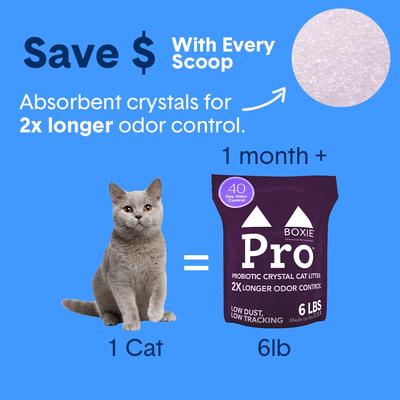 Show full view: Boxiecat Pro Self-Cleaning Probiotic Non-Clumping Crystal Cat Litter, 6-lb bag slide 10 of 12