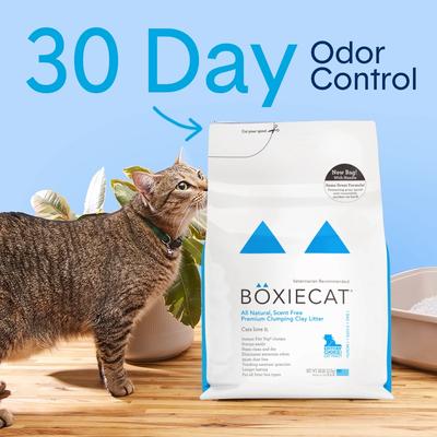 Show full view: Boxiecat Unscented Odor Control Clumping Clay Litter, 28-lb bag + Eco Scoop & Tie Cat Litter Waste Bag, 75 count slide 3 of 9