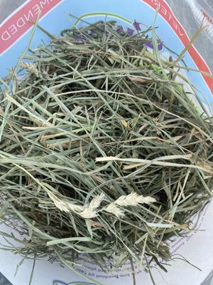 Show full view: Branded Pack - Sweet Meadow Farm Orchard Grass Hay Small Pet Food, Barn Hideout, Herbs & Timothy Hay Food slide 4 of 7