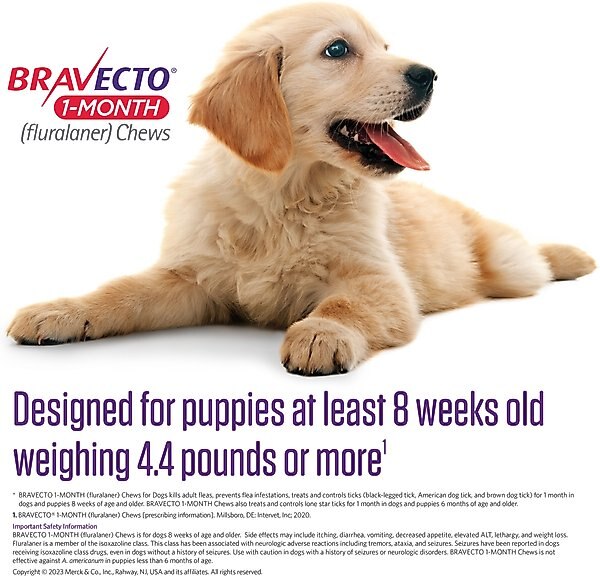 Bravecto 1-Month Chews for Dogs, 22-44 lbs, (Green Box)